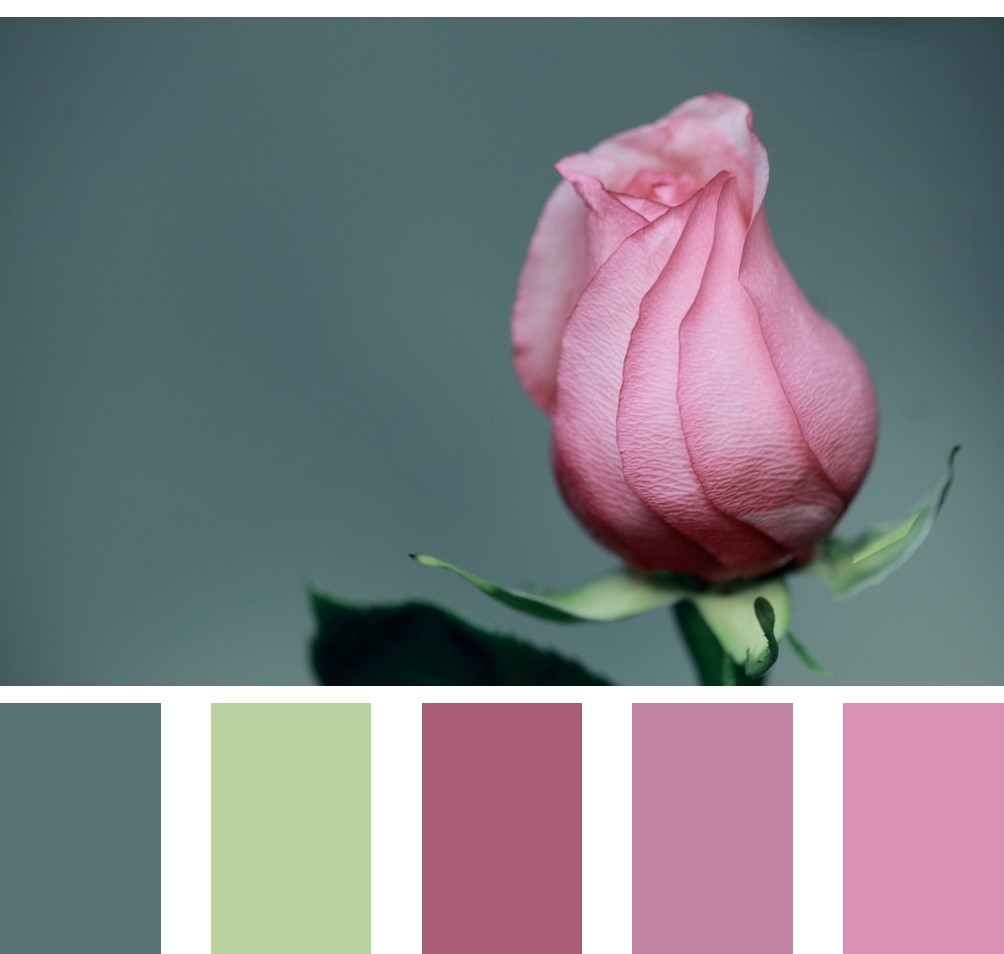 Split Complementary color scheme - pink (red), yellow-green, blue-green