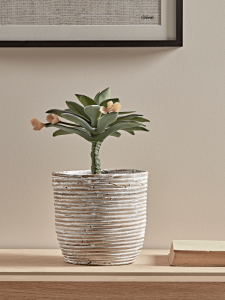 Whitewashed Rattan Planter